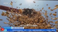 脚、土质肥饶、日夜温差适宜