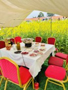 <b>摸索出“油菜—高粱”轮做、“花田暖锅”等新</b>